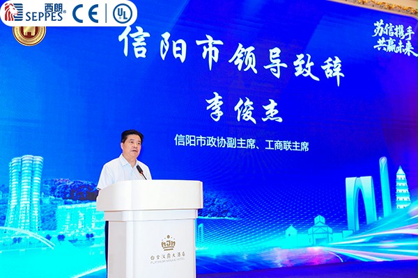 李俊杰副主席发言 李俊杰副主席发言